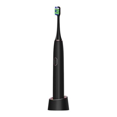 Portable Ipx7 Sonic Household Adult Electric Tooth Brush Electronic Toothbrush