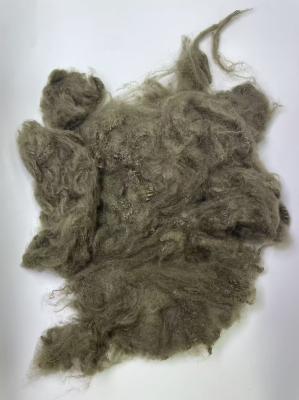 1.5D Recycled Polyester Staple Fiber with 255-265℃ Melting Point and 32mm-102mm Cut Length for High Durability