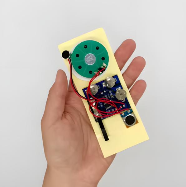 Recording Sound Module Toys Recordable Audio Device with Customer Logo Is Avialable