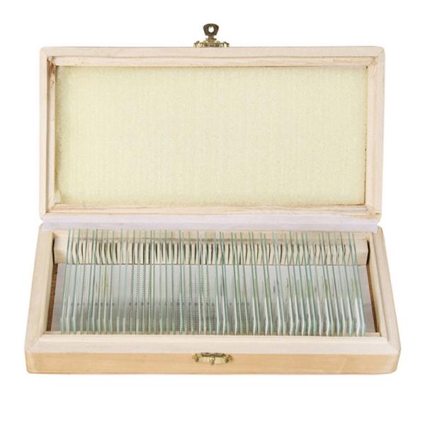Biology 50pcs Permanent Botany Slides Microscope In Wooden Box As Lab Equipment
