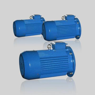 Brushless Induction Electric Motor Three Phase Asynchronous Motor 11KW 15HP 1460RPM