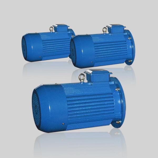 低速風力タービン発電機 ブラシレス直流モーター 22kw 3相