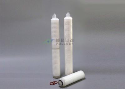 10 cartouche filtrante plissée par membrane pharmaceutique de SIÈGE POTENTIEL D'EXPLOSION