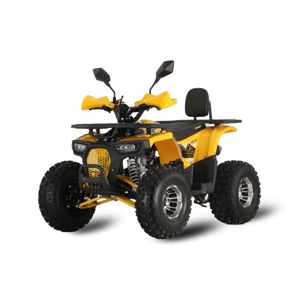 110cc Electric Start Mini Quad Four-wheeler for Children Chain Drive Automatic 125cc