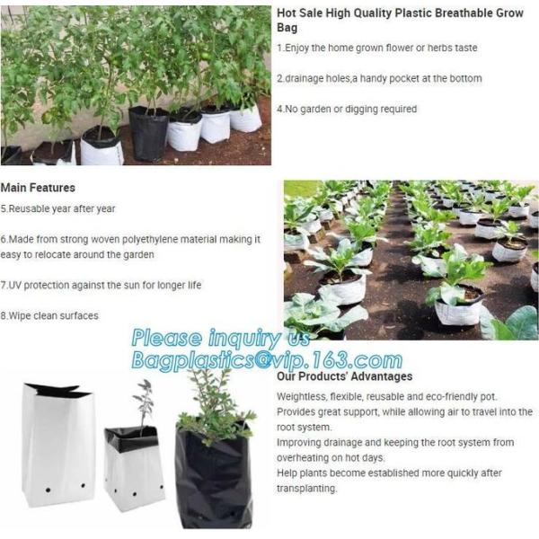 Planter Bags, Grow Bags, Cultivating Bags, Nursery Pot, Greenhouse, Agricultural Film,  Horticulture Garden