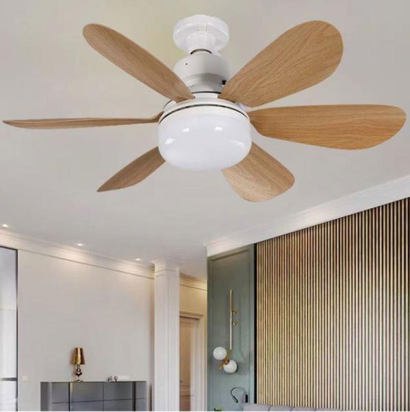Ventilateur LED Lumières Maison Intelligente Lumière Gradation Intelligente Minuterie 3 Vitesses Noir E27 Ventilateur Décor Télécommande Moderne LED Ventilateur de Plafond