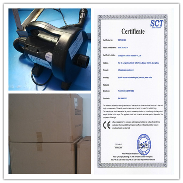 Professional Fire Resistance Inflatable Zorb Ball Water Hamster Ball For Kids