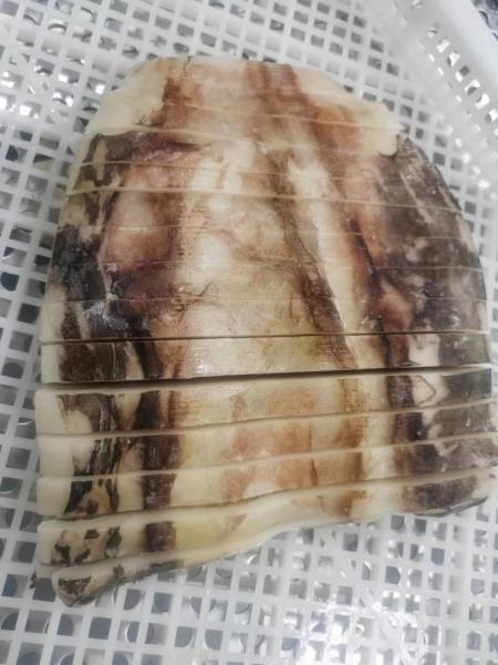 顧客の要件に合わせた冷凍庫コールドルーム イカストリップ Dosidicus Gigas
