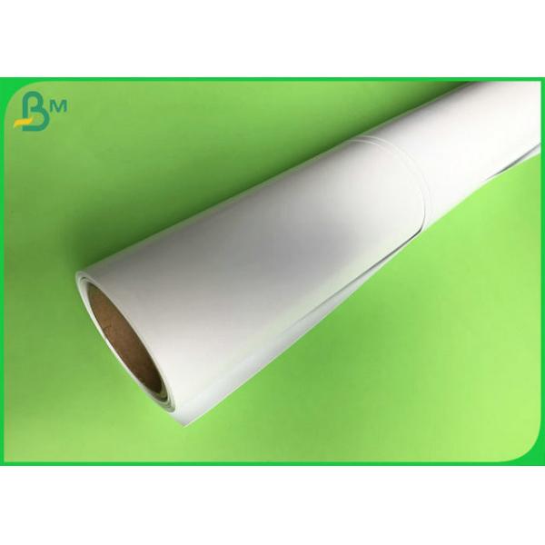 190gsm 200gsm 250gsm 300gsm High Glossy Art Paper / Printing Inkjet Photo Paper Rolls