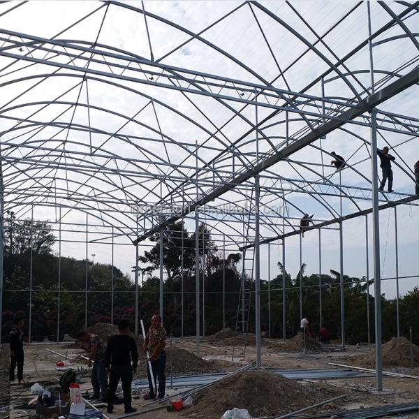 IGreen Tunnel Strawberry Greenhouses for Sale Price of M2 Agricultural Greenhouse