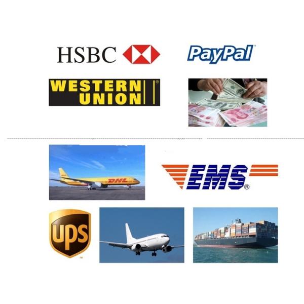 Dinosaur Kids Waterproof Backpack , Eco - Friendly Toddler Character Backpacks