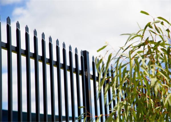 press point spear powder coated satin black steel fence 2100mm x 2400mm