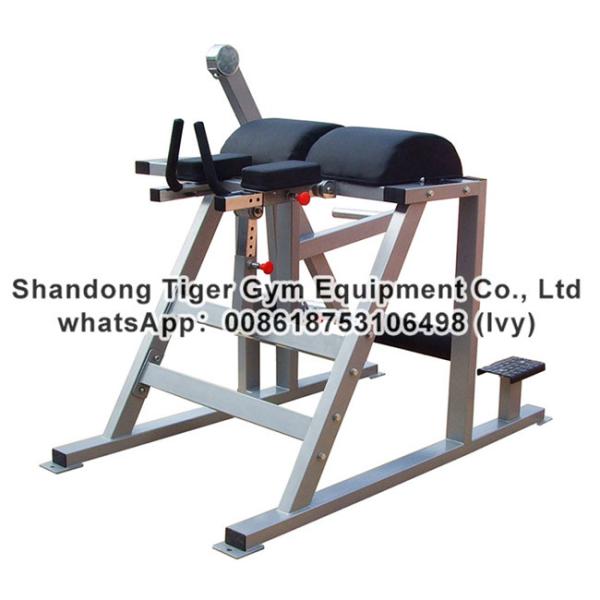 Strength Fitness Equipment / plate loaded gym fitness equipment / Reverse Hyper Extention