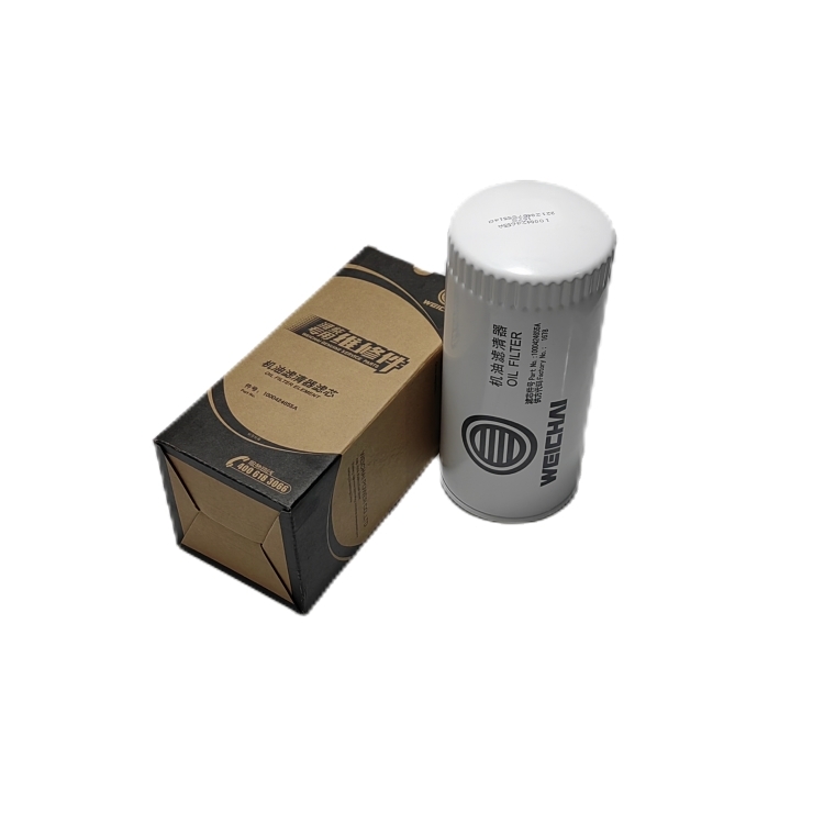 Oil Filter 1000422382A for Shaanxi  Trucks