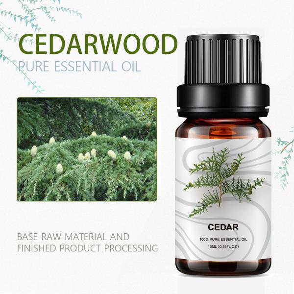 100ml Pure Plant Essential Oil OEM Herbal Cedarwood Essential Oil Skin