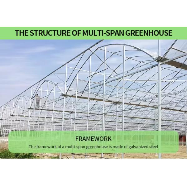 Сельскохозяйственная овощная теплица многопролетная томатная теплица для фруктов цветок