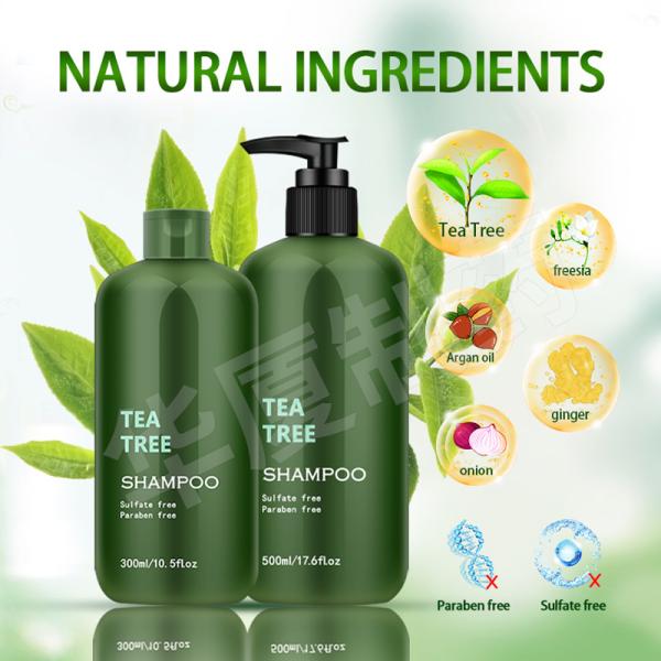 Tea Tree Aloe Vera Ginger Anti Hair Loss Shampoo Herbal Shea Butter Shampoo