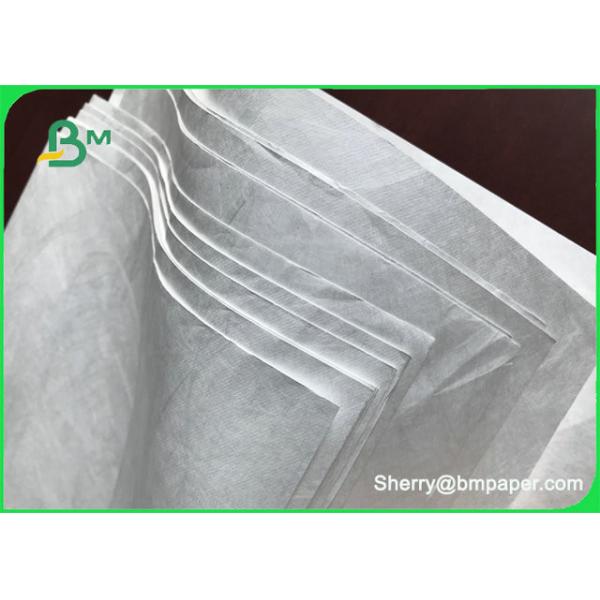 エコフレンドリー 1025D 世界地図用紙