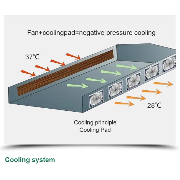 Сельскохозяйственная теплица для выращивания овощей, фруктов и цветов в любое время года