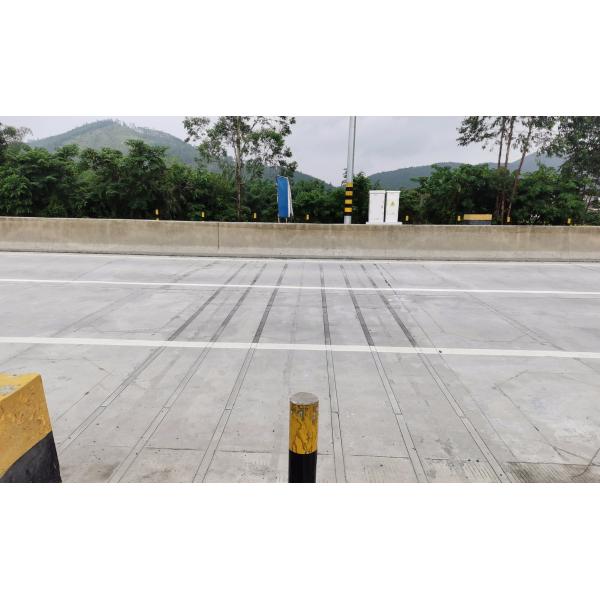 Quartz Dynamic Weighing Sensor System With High Feedback Rate