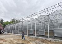 Polycarbonate Multi Span Greenhouse For Hot Climate 12 Meter Width