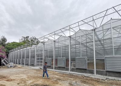 Serre en polycarbonate à longue portée pour climat chaud largeur 12 mètres