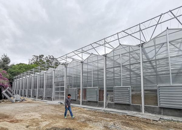 Polycarbonate Multi Span Greenhouse For Hot Climate 12 Meter Width