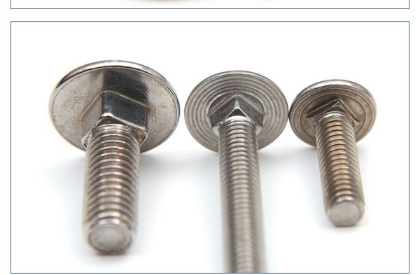 Stainless steel carriage square neck screws bolt