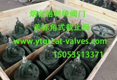 ANSI angle valve
