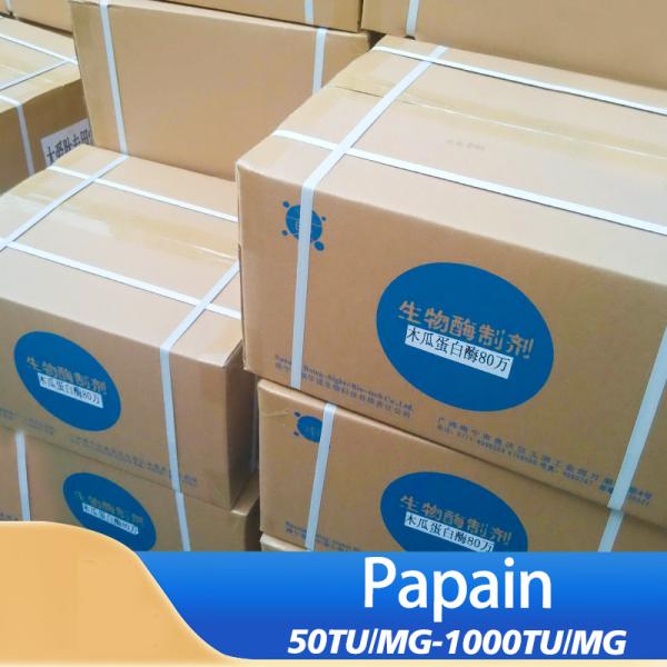 Enzyme Papain 50TU/MG-1000TU/MG Providing Enzyme Preparation Sample Minimum Order 1kg