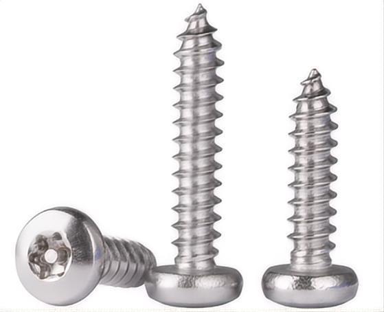 Galvanizado 304 cabeça de panela de aço inoxidável parafusos de auto-aperto acabamento simples Din 7981
