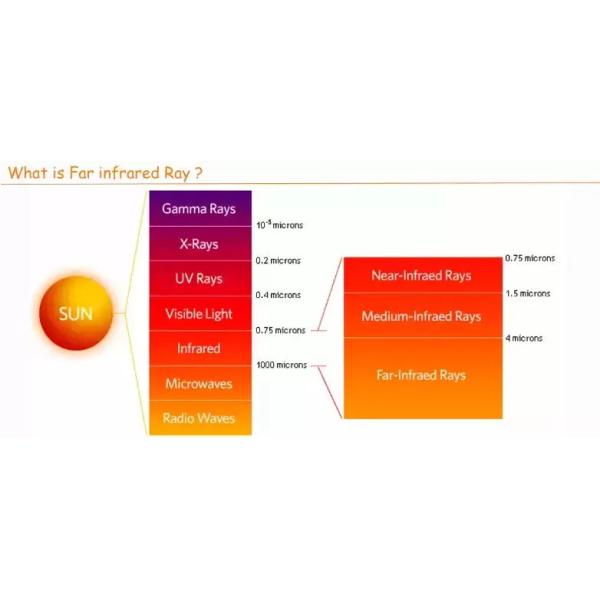 Салон красоты FIR Дальний инфракрасный Сауна Купол для детоксикации 100V-120V