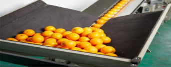 Fruit And Vegetables Multi Packaging Machine 100-230 Bag / Min