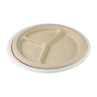 O bagaço biodegradável da cana-de-açúcar do recipiente de fast food do petisco chapeia a louça