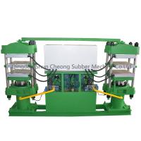 Full Automatic Duplex Rubber Curing Machine/Oil Seal Making Machine