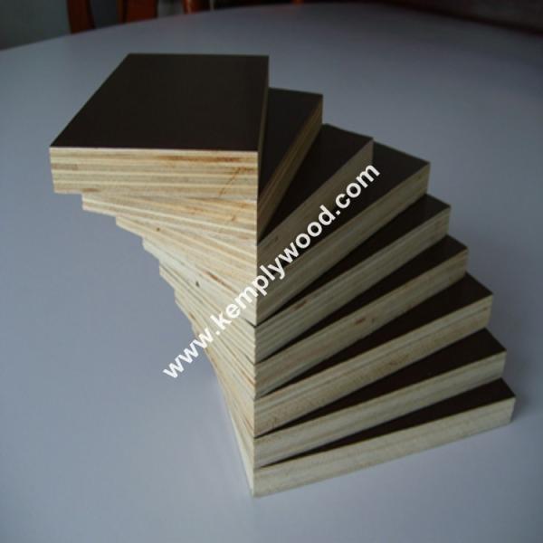 Two times hot pressed film faced plywood, Marine shuttering film faced plywood, Construction shuttering plywood
