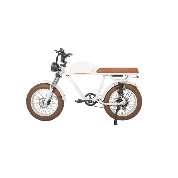 Retro Vintage E-Bike with 500W Bafang Rear Hub Motor Electric Bike OEM Wholesales Bike