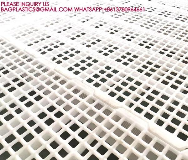 Poultry Husbandry Animal Plastic Flooring Poultry Poultry Plastic Slat Plastic Slats Flooring