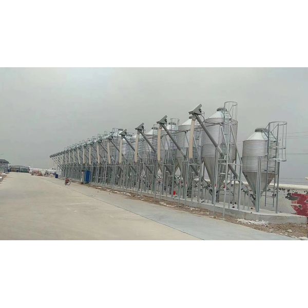 Sturdy Durable Manure Treatment Equipment No Belt Deviation Low Noise No Chicken Stress