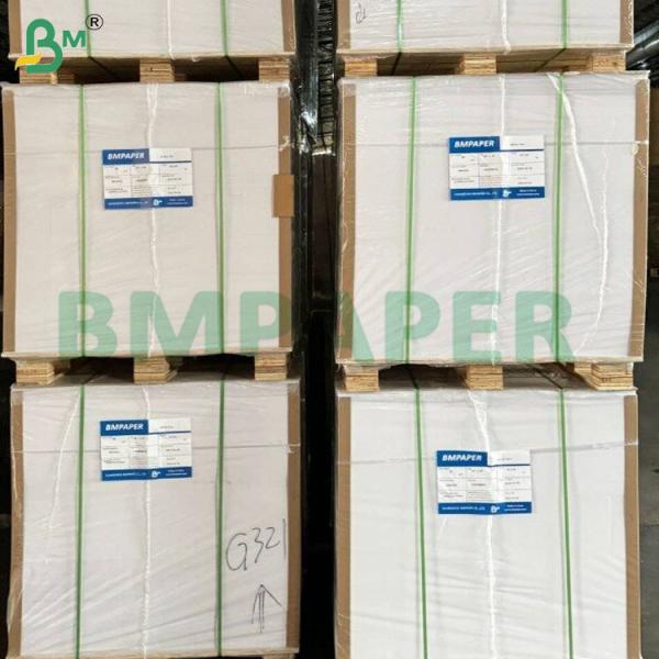 260gsm Heat Resistant PET Coated Oven Paper Rolls for Toasting