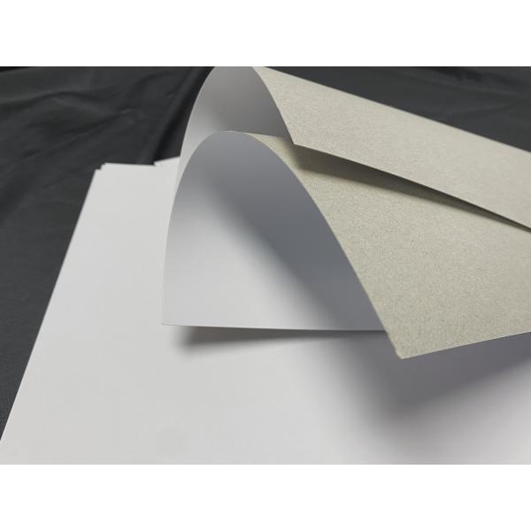 Duplex Paper Board For Corrugated Packaging 250GSM-500GSM Duplex Board Grey Back