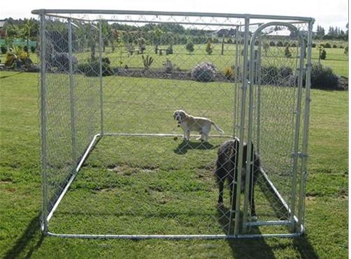 Low Carbon Steel Wire Chain Link Dog Kennel / Outdoor Dog Enclosures