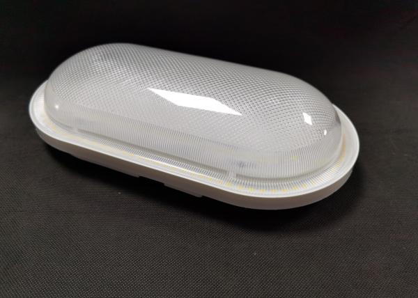 3200K Oval 2 Color 20W Transparent Diffuser Bulkhead Light