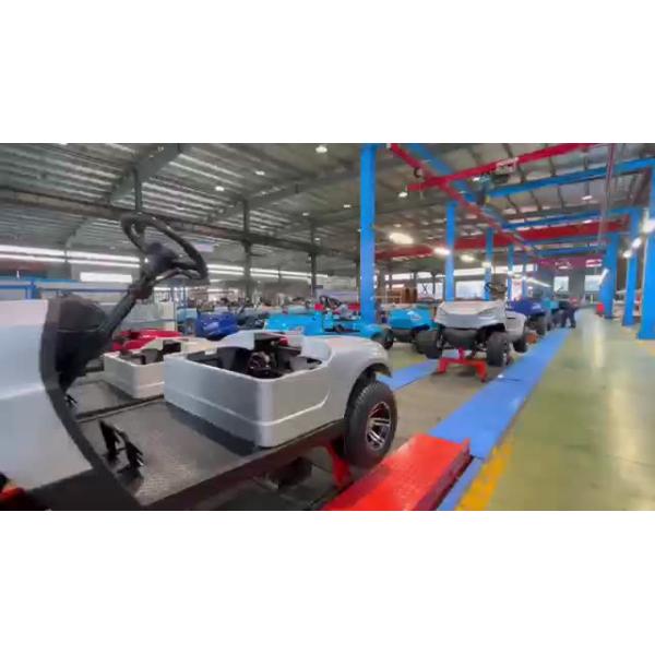 800kg Max Load Capacity Golf Cart with Fast Buggy Electric and Customized Logo Design