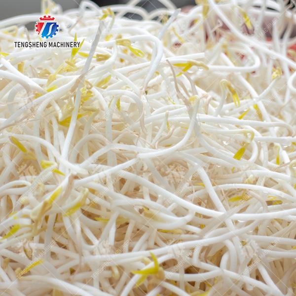 Single cylinder fruit and vegetable washing machine with slag separator Leaves Vegetables Onions Leafy vegetables Cabbage varieties Herbs Fruiting vegetables Wash Washer Washing Cleaning processing