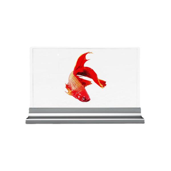 30 Inch HD Interactive Transparent OLED Display – Transparent Digital Signage Solution