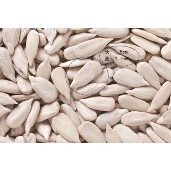 China manufacturers wholesale confectionery grade sunflower seed kernel for snack