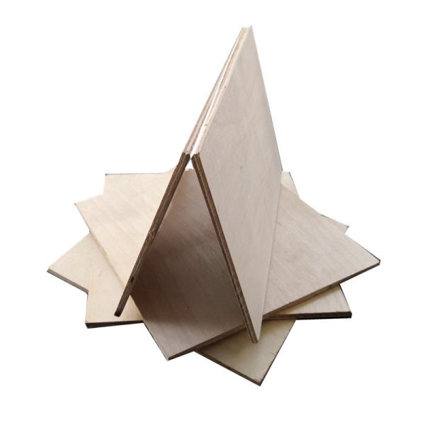 18mm Phenolic Birch Faced Plywood Mothproof For Furniture