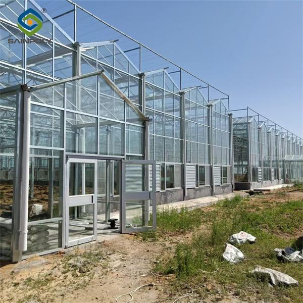 Serre en verre personnalisée à longue portée pour la culture des légumes