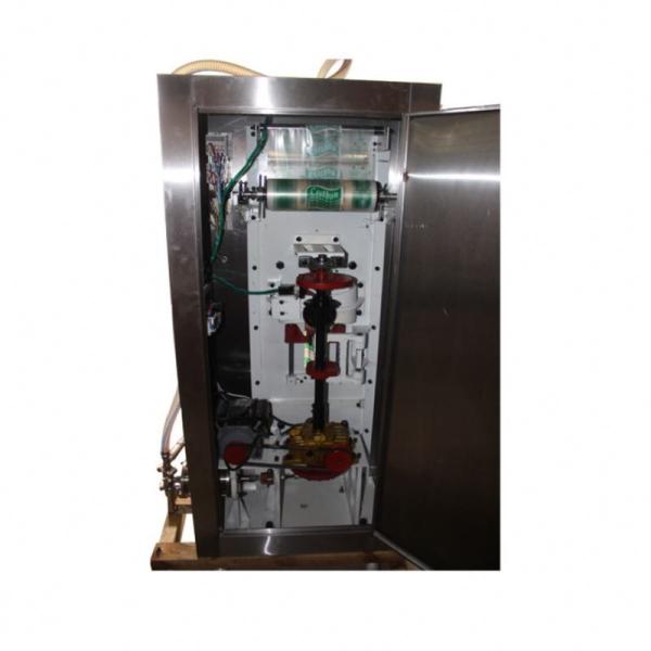 New Arrival Liquid Bag Packing Machine/Pouch Packing Machine/Cream Filling Machine
